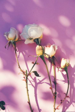 齐肩短发新娘盘头发型图片 新娘齐肩短发怎么扎怎么盘发