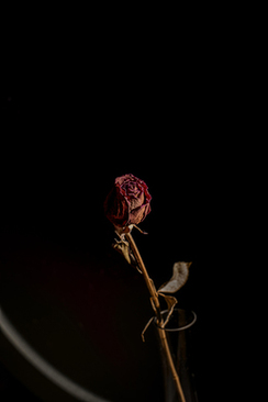 堵门新郎的问题 结婚堵门时,都问新郎什么问题呢?