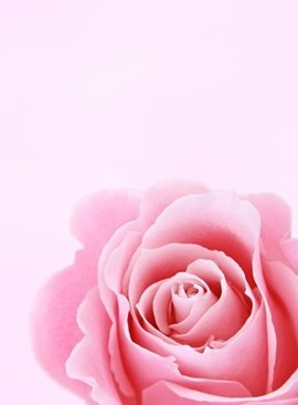 结婚十样礼都买什么 结婚的四样礼都是什么？