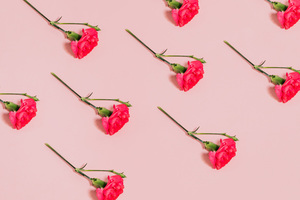 主持人邀请领导上台话术 年会主持人邀请领导上台话术_问一问