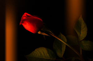 婚纱照4套衣服选什么样的 拍婚纱照的衣服有4套，选什么样的好？