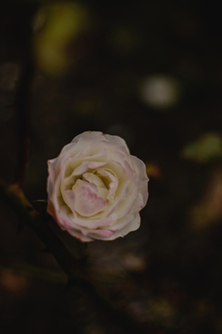 结婚买什么比较好 结婚一般买什么礼物比较好