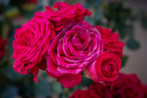 结婚喜糖怎么弄 结婚喜糖如何准备呢