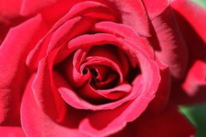 婚礼策划准备工作 婚礼策划具体流程