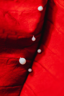 伴娘冬季要穿羽绒服 冬季伴娘应该穿什么啊?