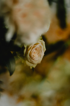 怎么闹新娘才好玩 怎么闹新娘好玩