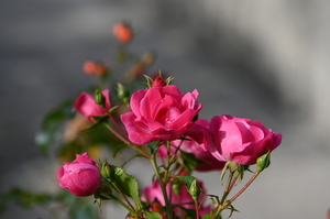 现在领结婚证有什么流程 现在领结婚证需要什么流程