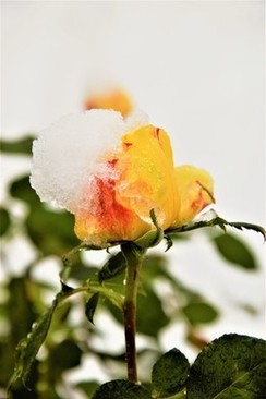 北京婚庆公司大概多少钱 在北京开个婚庆公司多少钱？