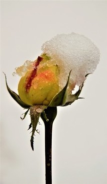 新娘要准备哪些东西 结婚新娘要准备什么东西