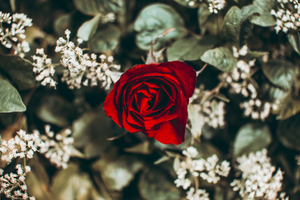 挂婚纱照要看挑日子吗 拍婚纱照需要选择吉日吗?