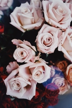 中式婚礼互送什么信物 中国传统婚礼仪式交换什么信物好 情定今生