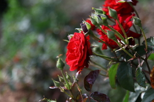 办完酒席感谢亲朋的说说 办完酒席后感谢亲朋语句_问一问