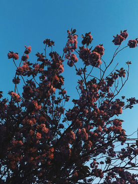 小孩满月红包给多少钱吉利数字 朋友孩子满月，我送多少红包合适？