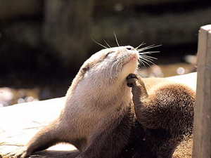 朋友结婚穿什么衣服合适 参加朋友婚礼要穿什么衣服？