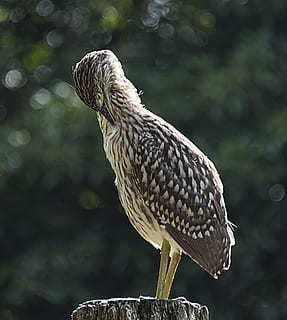 拍婚纱照长头发好看还是短头发好看 照婚纱照是短发好看还是长发好看