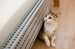 结婚都有哪些流程 结婚流程一般有哪些?