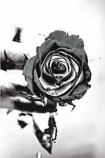 爸爸再婚送点什么好 爸爸再婚，送什么礼物比较好？