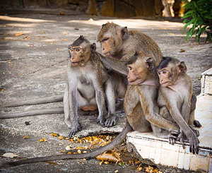 描写盛大婚礼的句子 描写婚礼场景的句子有哪些?