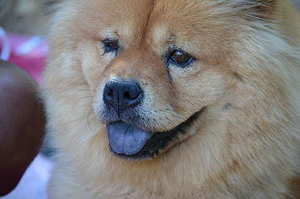 最省钱的求婚方式 省钱的求婚方式有哪些