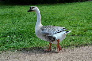 女性婚前检查可以查到哪些问题 婚检，女性检查哪些？能查出什么些问题(？