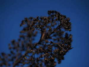 西式婚宴自助餐菜单