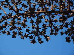 胖的人结婚穿的衣服 胖男人结婚穿什么衣服好看