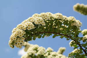 柳州婚礼司仪一般多少钱 婚礼的司仪一般多少钱一场？