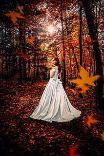 婚车贴是前后贴吗 结婚当天跟车的车牌贴是不是前后都要贴的