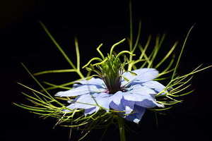 迎亲游戏一般需要多久 现在的婚礼接亲,一般都会有哪些游戏?