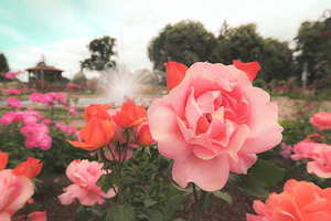 结婚当天为什么会用到黄历