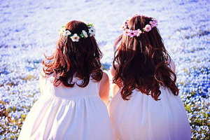 结婚给新郎新娘的节目视频