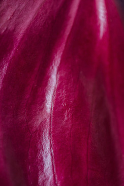 在深圳举办婚礼需要多少钱 在深圳举办一场婚礼要多少钱