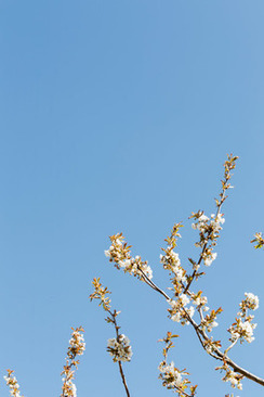 结婚什么颜色的西服好看 结婚穿什么颜色西装合适？