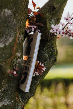 姐姐要结婚了该送什么 姐姐结婚要送什么礼物？