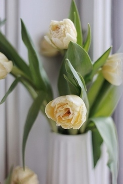 结婚女方父母需要给男方送什么 女方父母需要给男方准备什么东西