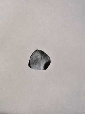 婚纱店五行属什么