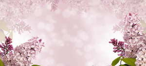 格乐利雅一场婚礼多少钱