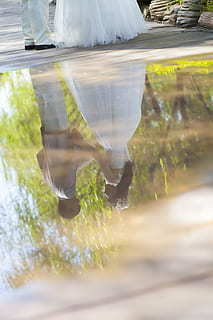 最新婚车扎花图片 婚车怎么扎花