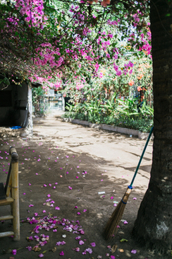 办哪些证需要结婚证 办什么证件需要结婚证