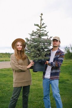 婚礼桌上放东西图片 女方家结婚当天桌上摆放什么水果摆几样