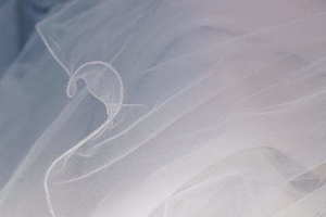 婚庆公司简介 婚礼公司简介怎么写