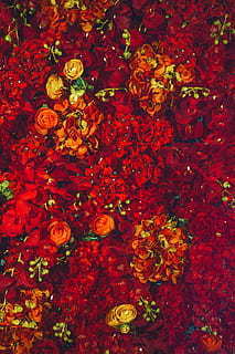 初来公司请大家多多指教