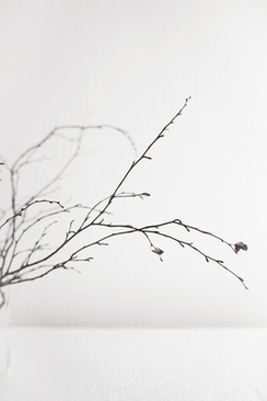 婚车上粘纸怎么清除 婚车贴纸怎么快速去除