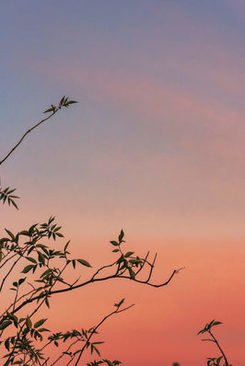 结婚女方给男方回礼么