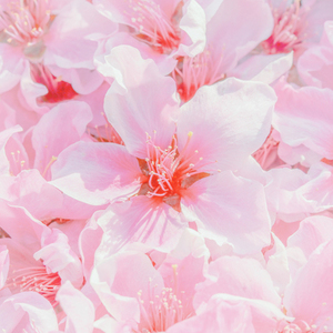 公主嫁到婚庆公司 哈尔滨公主嫁到婚礼策划工作室怎么样？