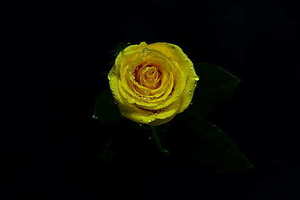 用红蜡烛的国家有哪些