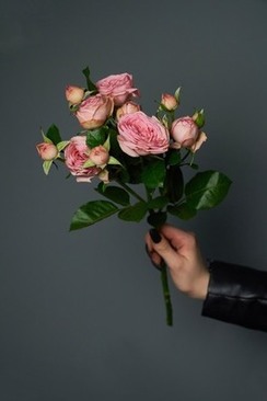 哪里可以免费制作微信请柬 免费微信邀请函制作软件有哪些?