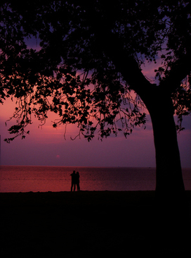 爸爸在婚礼上的发言 女儿结婚父亲在婚礼上怎么发言
