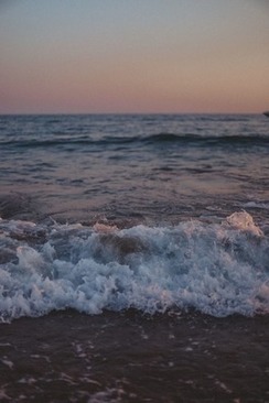 抢到的捧花怎么处理 昨天婚礼捧花被二婚抢到了怎么办