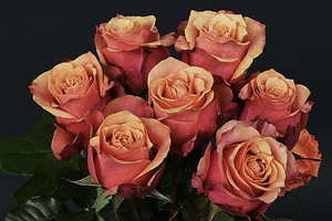 新娘应该给伴娘准备什么 结婚时伴娘都要做什么准备？